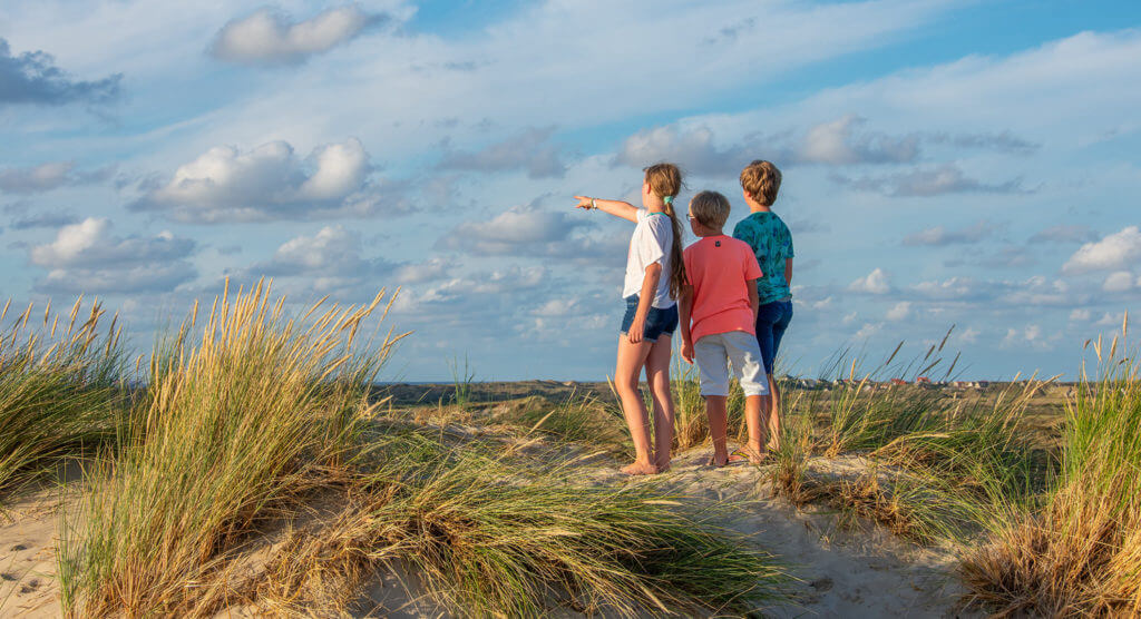 Atmospheric camping on Terschelling. Campsite De Kooi.